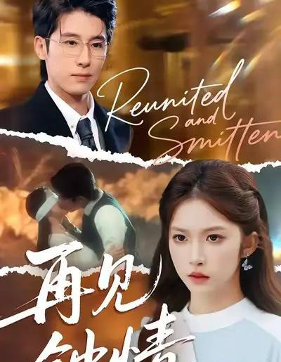 再见钟情（100集全）林枫松＆吴毅非-搜外项目网