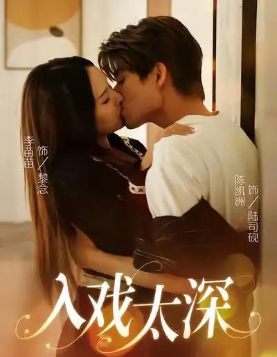 入戏太深(54集全)陈凯洲&李苗苗-搜外项目网