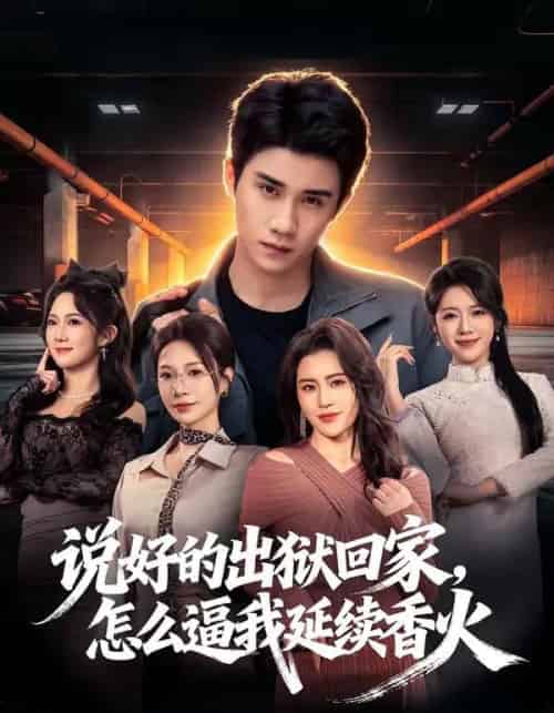 说好的出狱回家，怎么逼我延续香火（72集全）钟小金＆童羿琅-搜外项目网