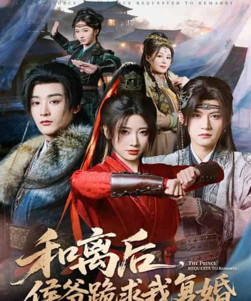 和离后，侯爷跪求我复婚（66集全）林昱希＆宗妍初-搜外项目网