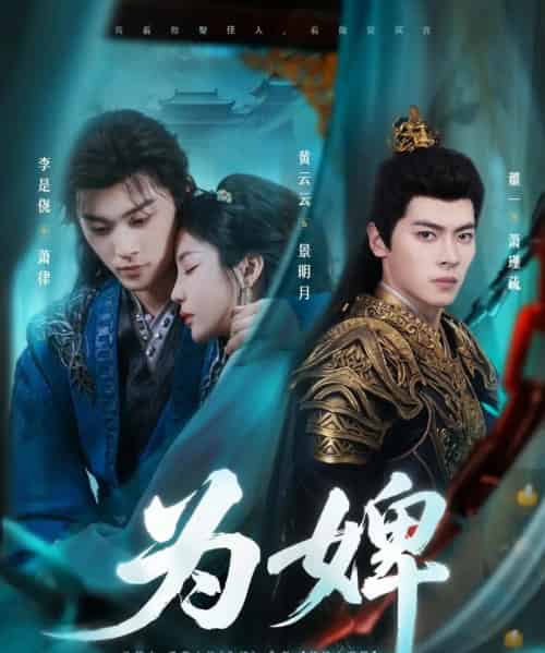 为婢(87集)李是侥&黄云云-搜外项目网