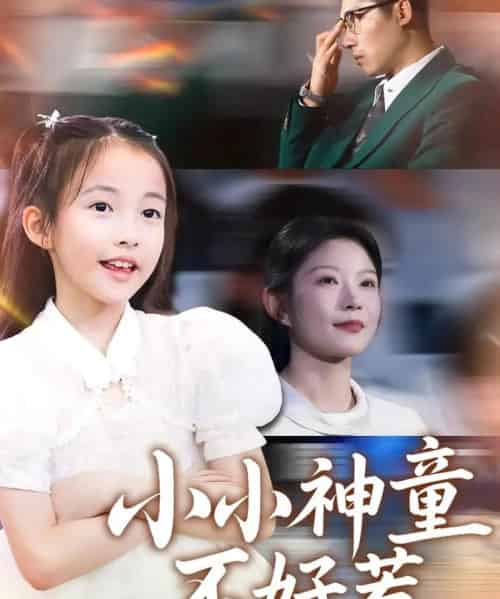 小小神童不好惹（60集）武童林＆孙袁沁孜-搜外项目网
