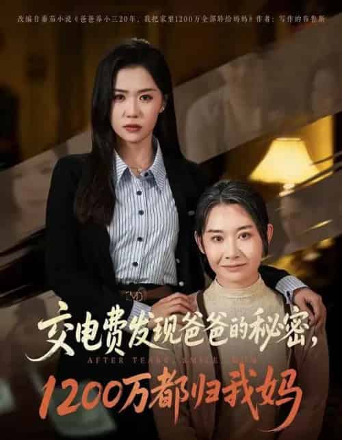 交电费发现爸爸的秘密1200万都归我妈(96集全)李玥&杨峰&王圻嘉-搜外项目网
