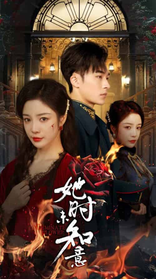 她时未知意(70集全)常高明&田熙雯-搜外项目网