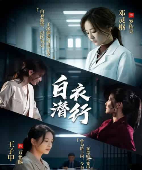 白衣潜行（77集全）王子甲＆邓灵枢-搜外项目网