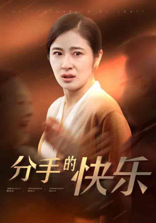 分手的快乐（66集全）钟北海＆何金玉-搜外项目网