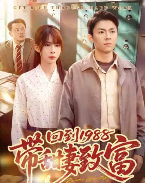 回到1988带甜妻致富(90集全)李秉润&王逸燕-搜外项目网