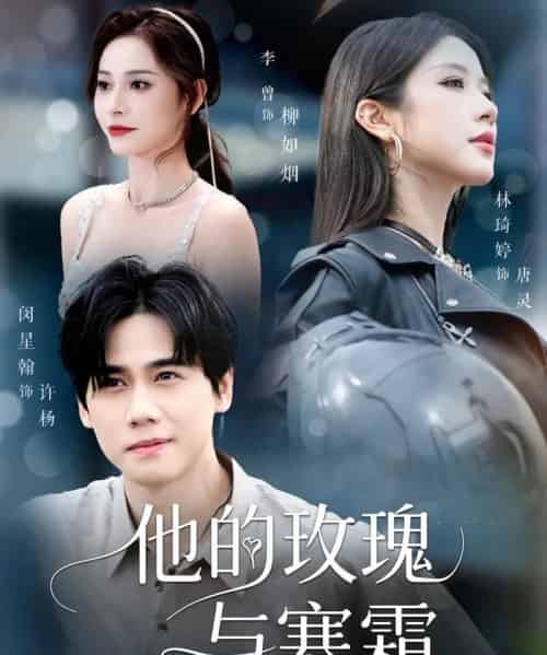 他的玫瑰与寒霜（60集）闵星翰＆林琦婷＆李曾-搜外项目网