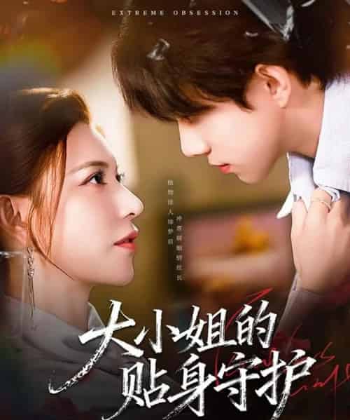 大小姐的贴身守护（80集全）阮诗如＆程硕-搜外项目网