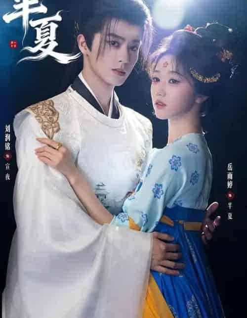 半夏（80集全）刘润铭＆岳雨婷-搜外项目网