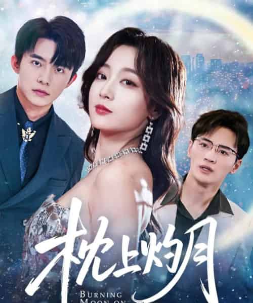 枕上灼月（52集）张婉琳＆艾江山＆梦丹-搜外项目网