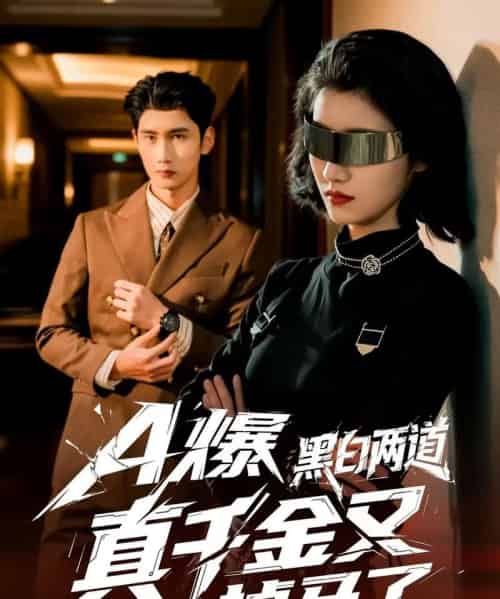 A爆黑白两道真千金又掉马了（60集全）徐子珊＆柳贯一-搜外项目网