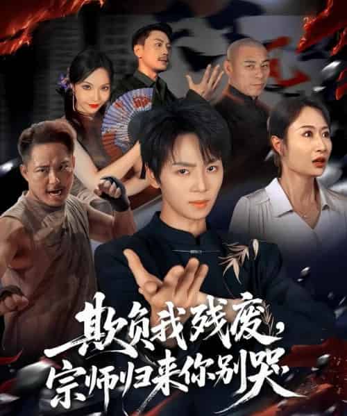 欺负我残废，宗师归来你别哭（64集全）苏泽林＆傲蕾-搜外项目网