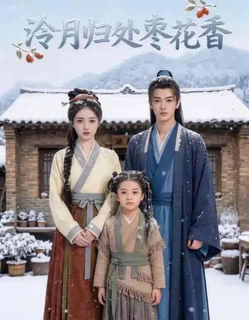 泠月归处枣花香（60集全）AI-搜外项目网