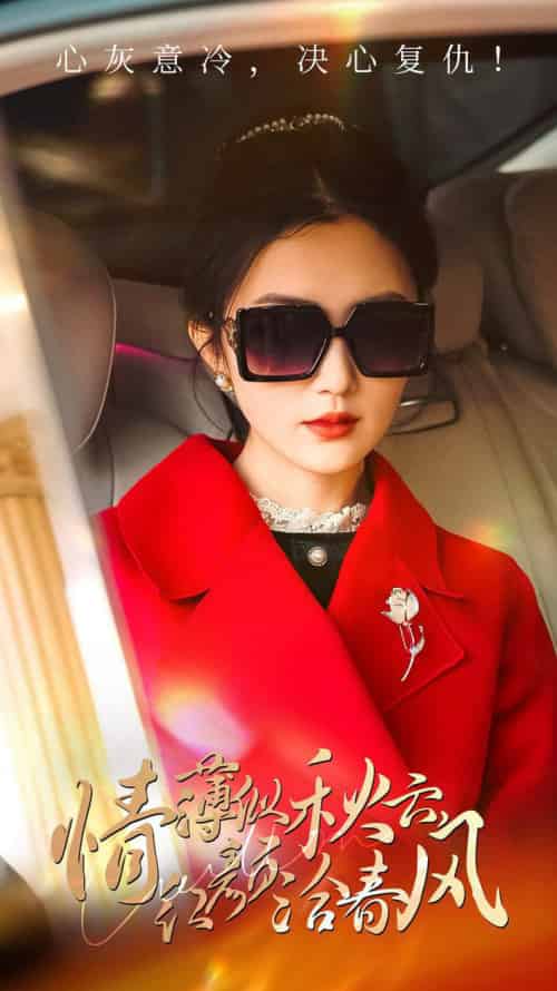 情薄似流云，红颜洽春风（32集全）江潼-搜外项目网