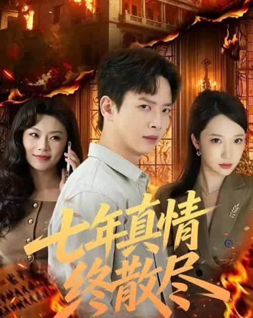 七年真情终散尽(60集全)雷鸣&姜熠燃-搜外项目网