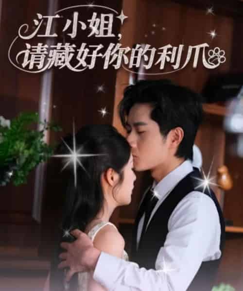江小姐请藏好你的利爪（60集）杨然＆陈酉昔-搜外项目网