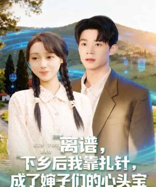 离谱下乡后我靠扎针成了婶子们的心头宝（79集全）张凤鑫＆李灼一-搜外项目网