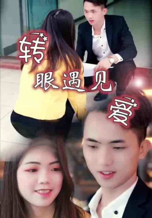 转眼遇见爱（21集全）徐振宇＆华华-搜外项目网