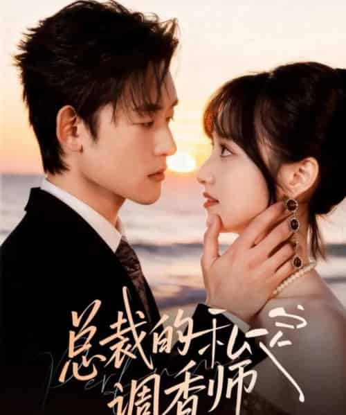总裁的私定调香师（80集全）张力壬＆徐子珊-搜外项目网