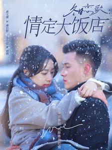 冬日恋歌情定大饭店（74集全）黄文博＆王小亿-搜外项目网