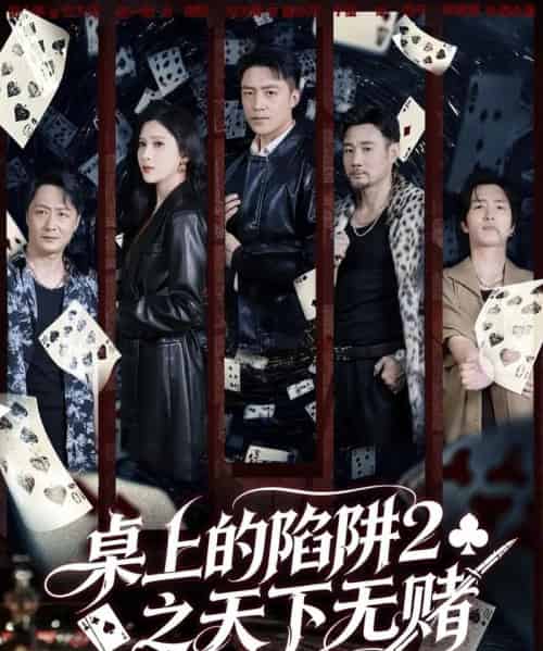 桌上的陷阱2之天下无赌（60集全）刘月涛＆赵亦菲-搜外项目网