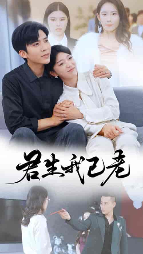 君生我已老（61集全）冯思源-搜外项目网