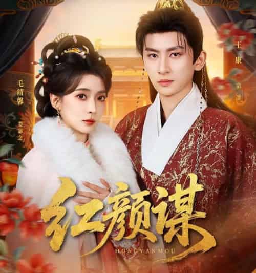 红颜谋（80集全）王康＆毛靖馨-搜外项目网