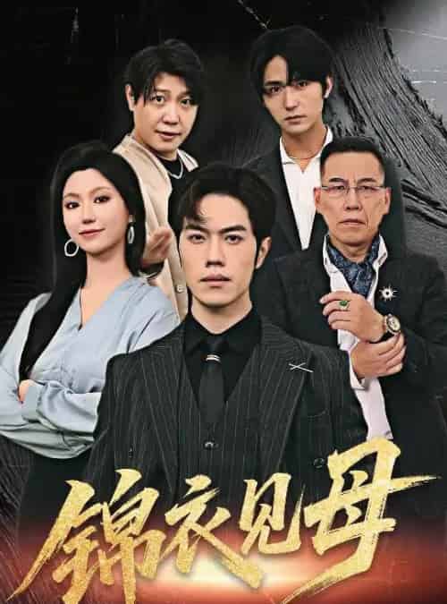 锦衣见母（60集）赵婉鹭山＆魏心宁-搜外项目网