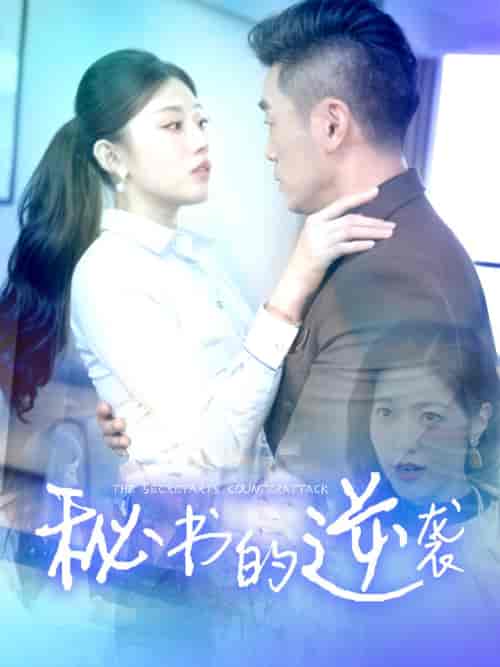 秘书的逆袭（50集全）擦边剧-搜外项目网