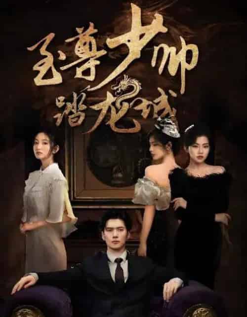 至尊少帅踏龙城（80集全）黎隐＆张晗-搜外项目网