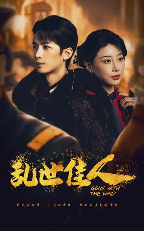 乱世佳人(60集全)于小婉&刘梓恒-搜外项目网