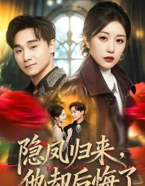 隐凤归来，他却后悔了（50集全）崔栖涵＆姚博-搜外项目网