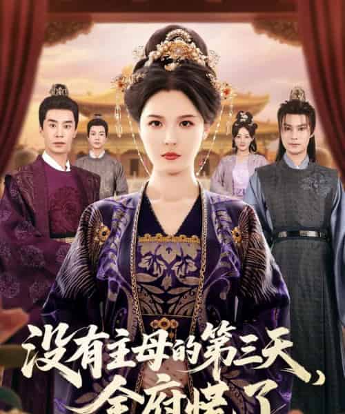 没有主母的第三天,全府慌了(101集全)李明&王璐-搜外项目网