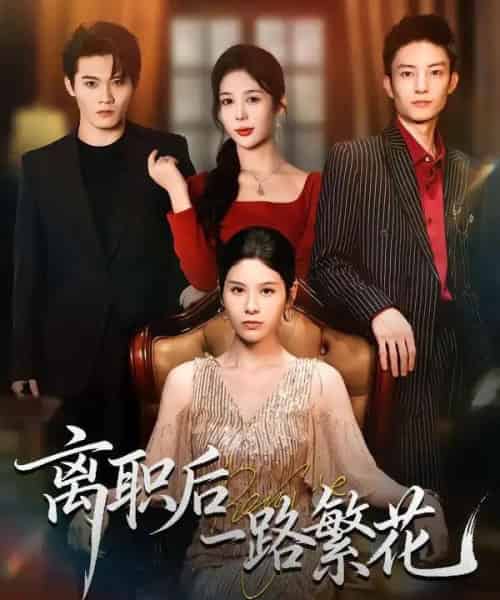 离职后一路繁花（80集全）刘玺然＆姚安璐菲-搜外项目网