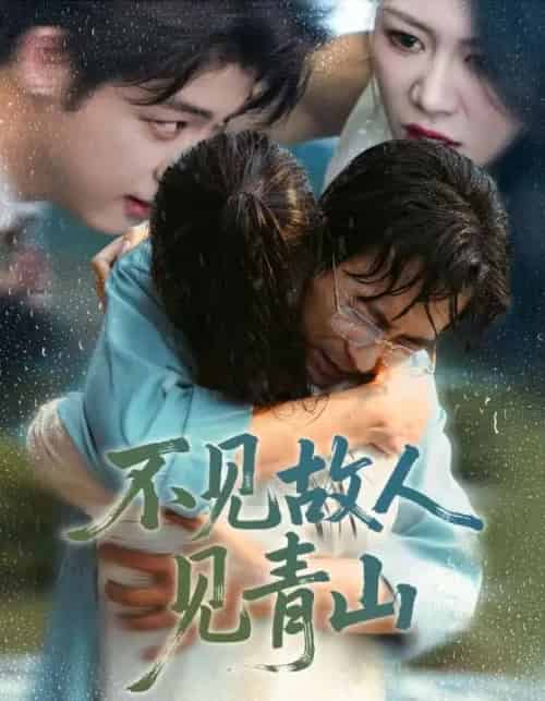 不见故人见青山&心约难守,余生不渡(91集全)将未&钟莹玲-搜外项目网