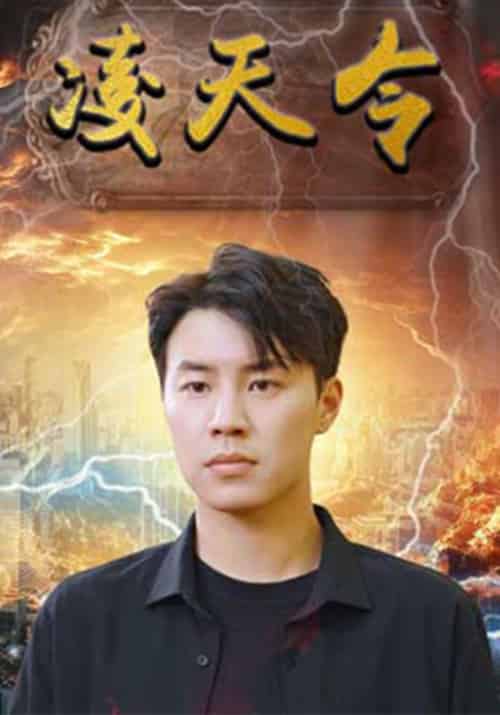 凌天令（78集全）叶辰＆苏婉-搜外项目网