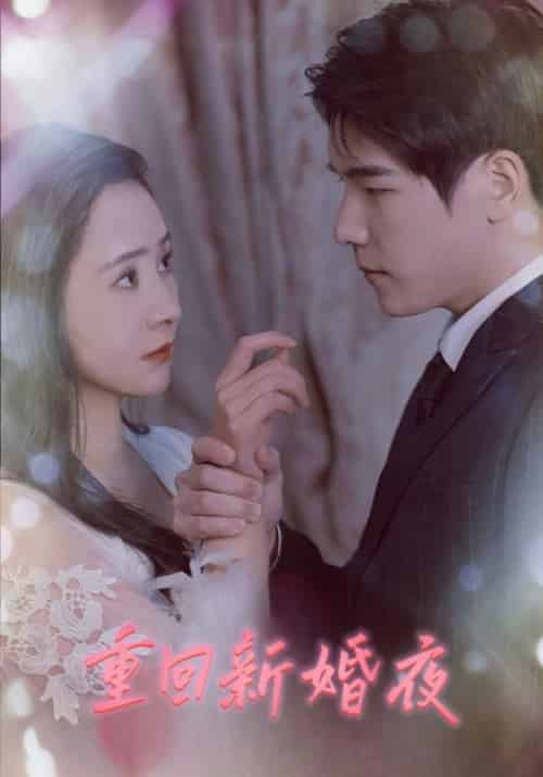 重回新婚夜（80集全）顾庭深＆叶清念-搜外项目网