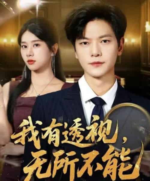 我有透视无所不能＆玉石之王我的透视能捡漏（80集全）刘瀚阳＆徐海文-搜外项目网