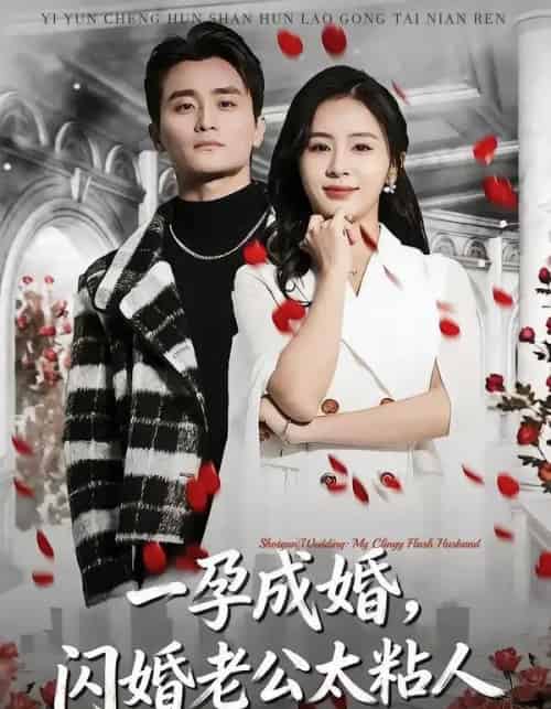 一孕成婚,闪婚老公太粘人(92集全)许嘉栩&鹂蔓-搜外项目网