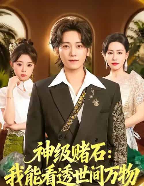 神级赌石:我能看透世间万物(80集全)木子君&马祈欣-搜外项目网