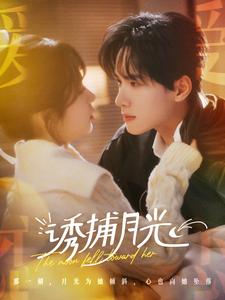 诱捕月光（100集全）展智伟＆张心怡-搜外项目网