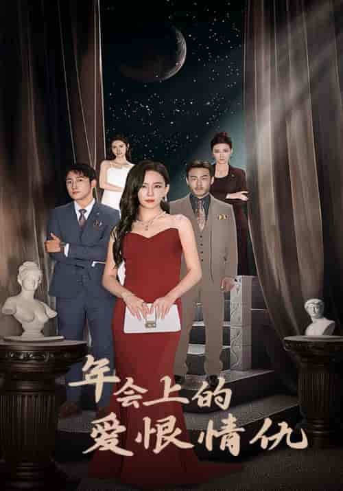 年会上的爱恨情仇（30集全）何琛＆金莲-搜外项目网