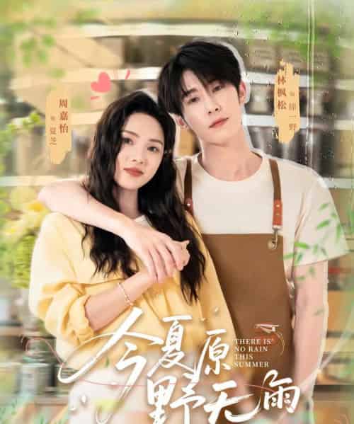 今夏原野无雨（70集）林枫松＆周嘉怡-搜外项目网