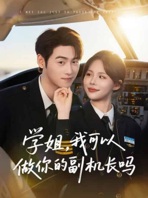 学姐我可以做你的副机长吗(30集全)武帅康&吴霄-搜外项目网