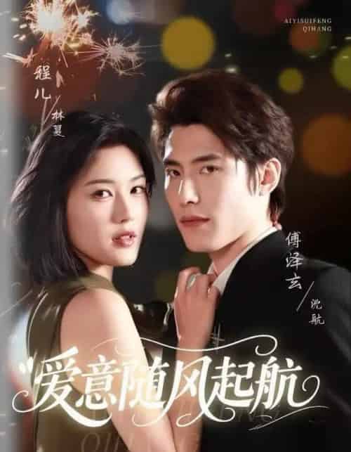 爱意随风起航(59集全)程儿&傅泽玄-搜外项目网