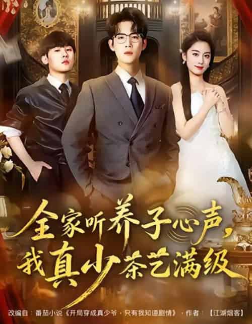 全家听养子心声，我真少茶艺满级（79集全）葛子杨＆李沐梵-搜外项目网