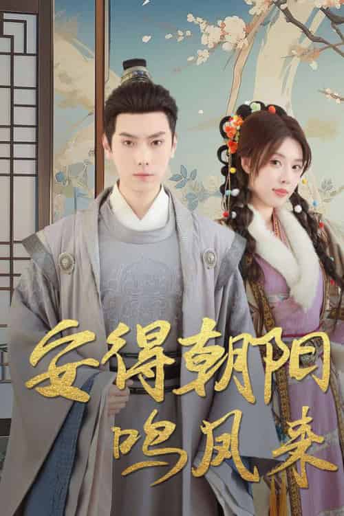安得朝阳鸣凤来＆云鬓绾山河（32集全）路文卓-搜外项目网