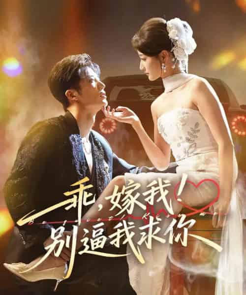 乖，嫁我！别逼我求你（74集全）王名扬＆董瑷宁-搜外项目网