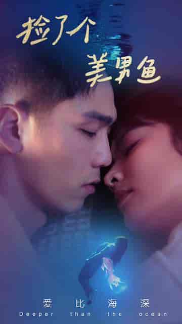 捡了个美男鱼（78集）王子怡-搜外项目网